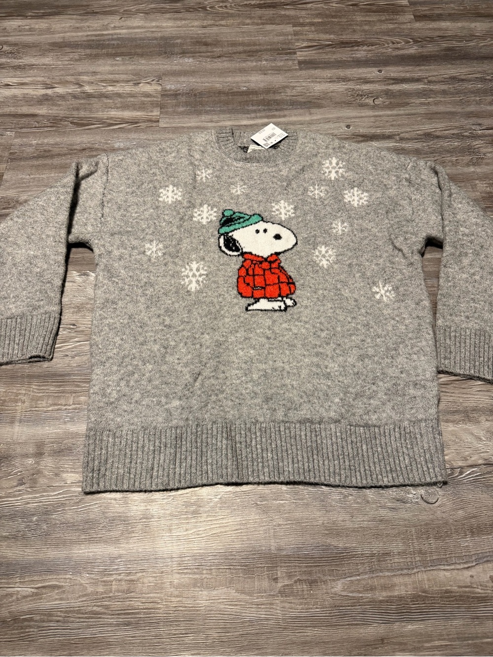 American Eagle Outfitters Gray Crewneck Sweater with Snoopy Graphic and Red Coat